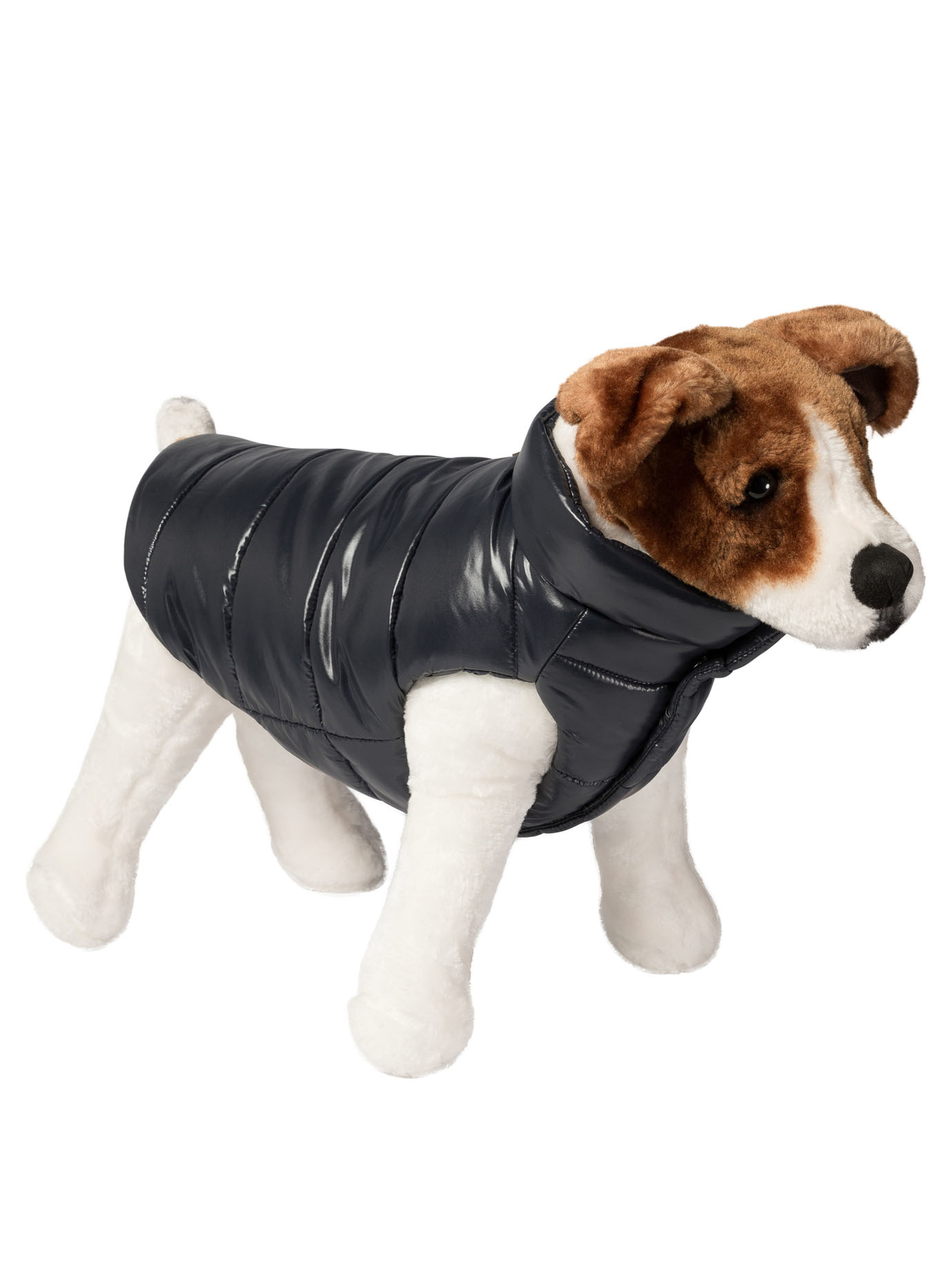 Dog 베스트